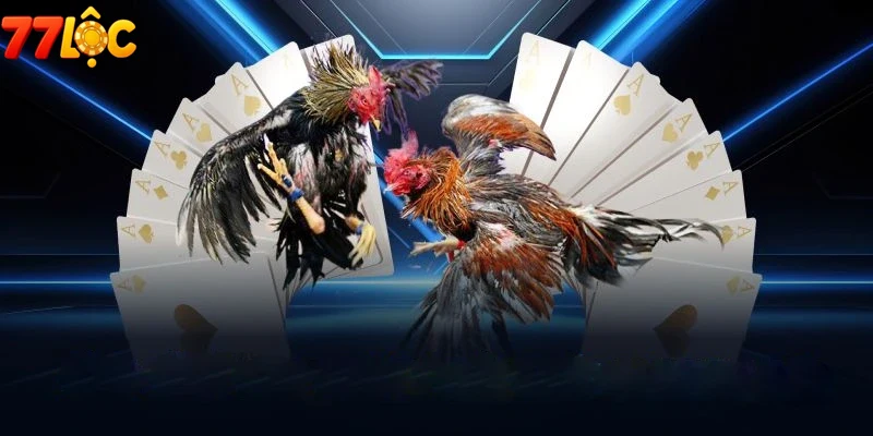 Khuyến mãi hấp dẫn dành riêng cho thành viên Game đá gà 77loc
